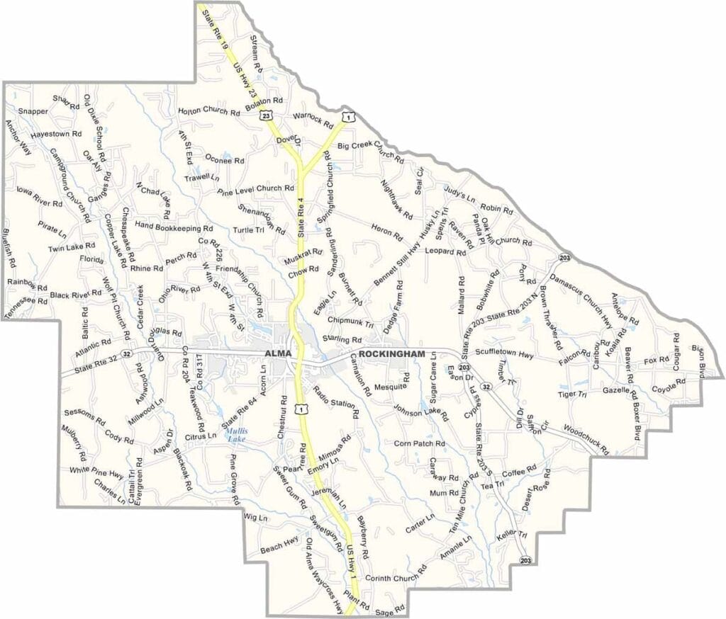 Bacon County Map Georgia