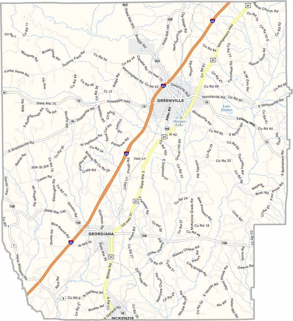 Butler County Map Alabama PDF