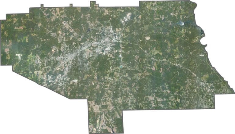 Lee County satellite map showing land features and roads in Alabama.