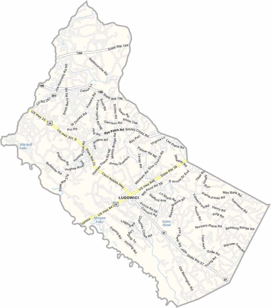 Long County map showing towns and roads in Georgia.