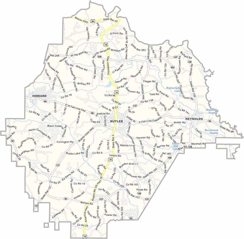 Taylor County map showing towns and roads in Georgia.