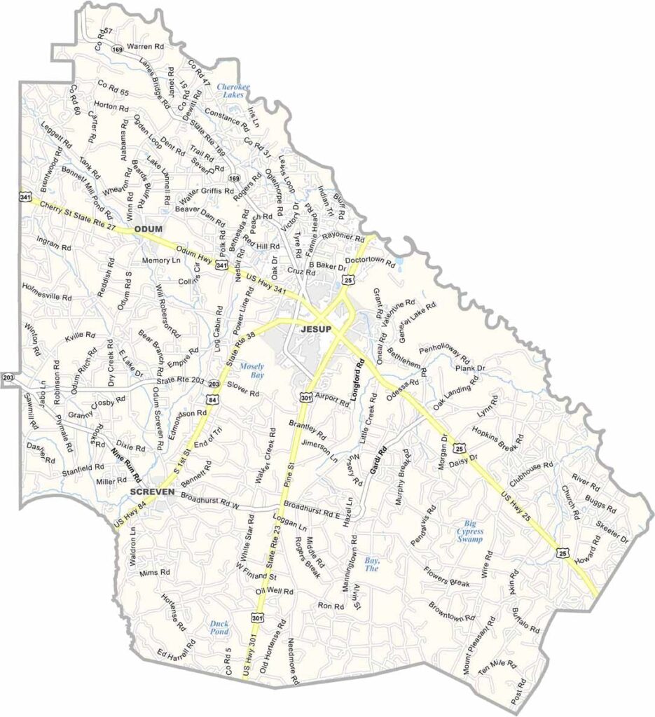 Wayne County map showing towns, roads, and geographic features in Georgia.
